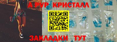 спиды Донской