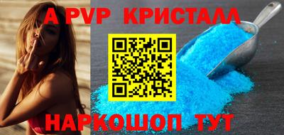 спиды Донской