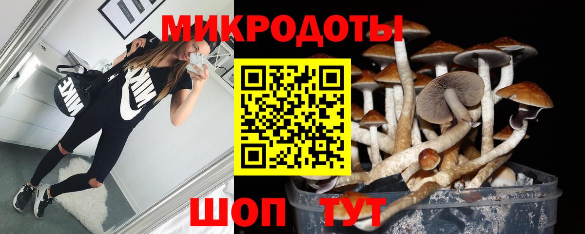 Псилоцибиновые грибы GOLDEN TEACHER  Вход с VPN  Муром 